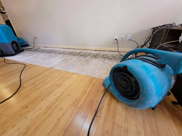 Professional Water Extraction technician working in Brownsville, PA
